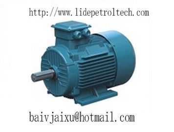 China 3 phase AC induction motors distributor