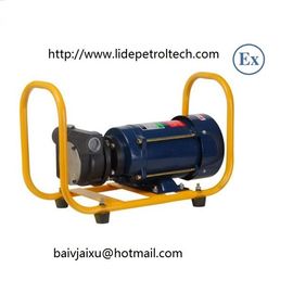China Explosion-proof Gasoline Transfer  pump kit factory