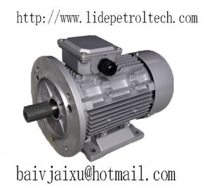 (CE) MS Series Alu Three Phase Motor