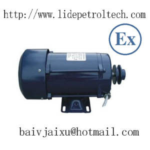 Ex-proof Electric Motor for Fuel Dispensers